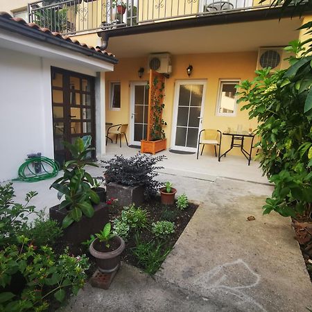 Radovic Apartments Budva Rum bild