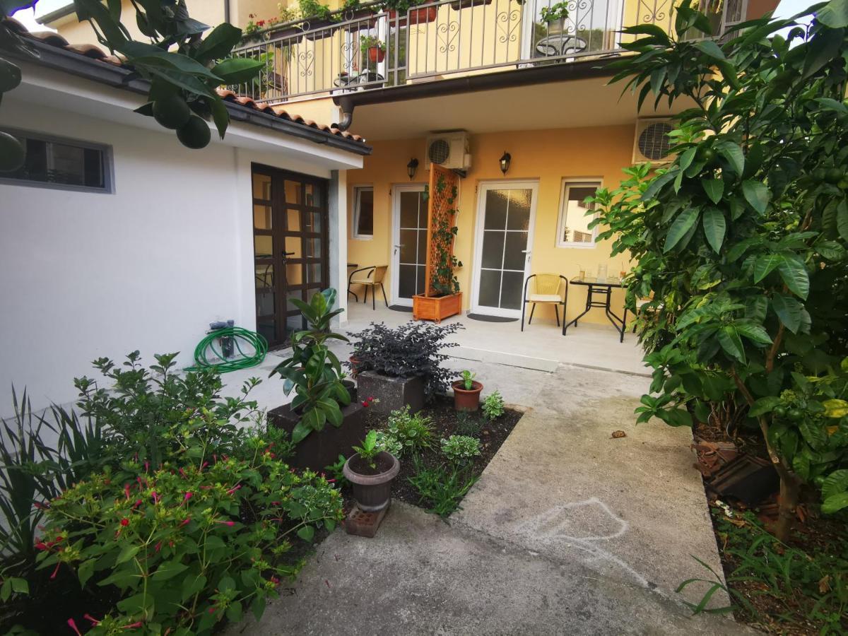 Radovic Apartments Budva Exteriör bild