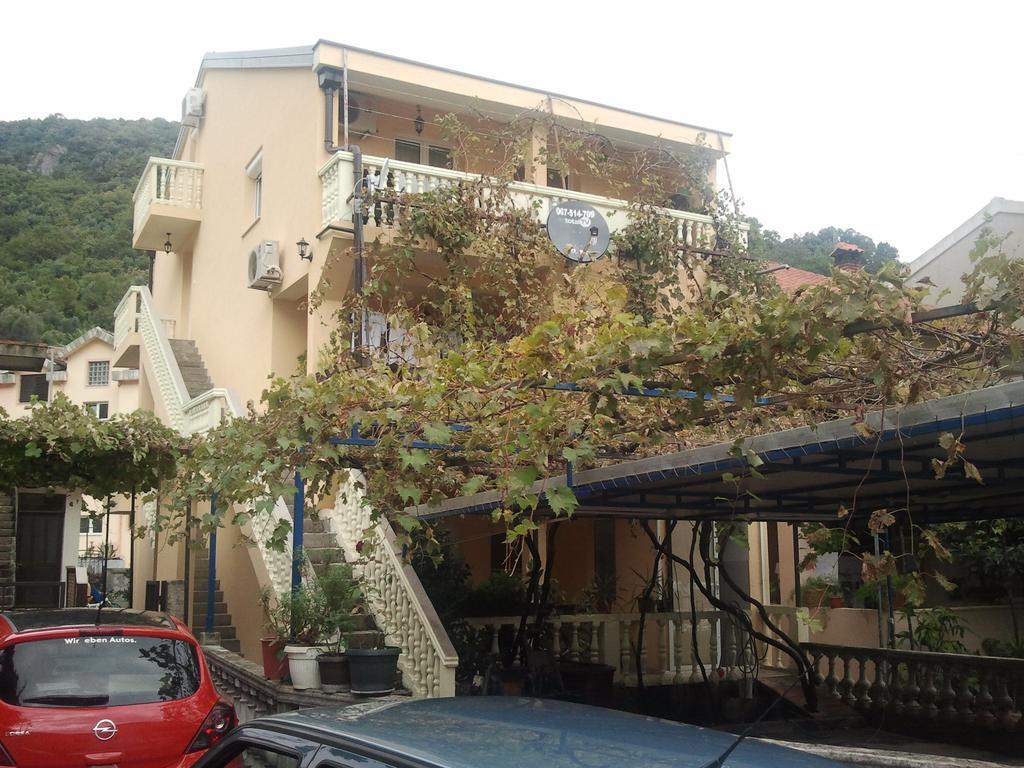 Radovic Apartments Budva Rum bild